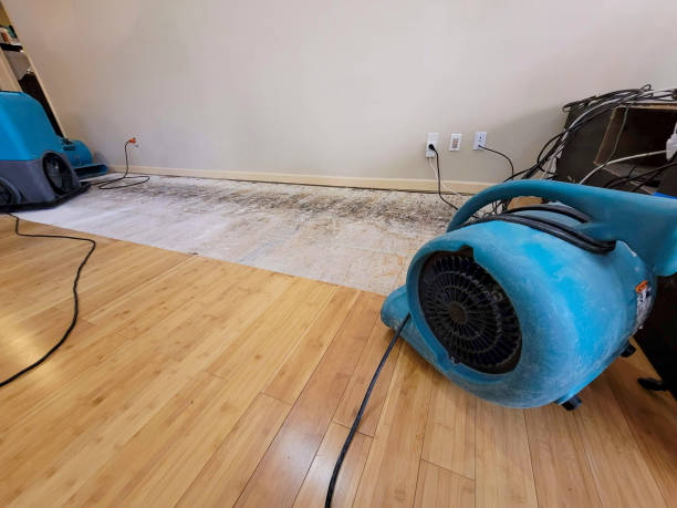 Professional Water Extraction technician working in Pullman, WA